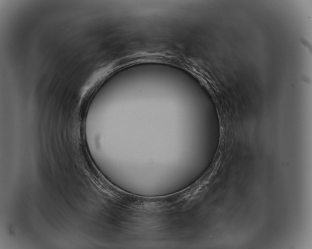 X0000091990149200709061227