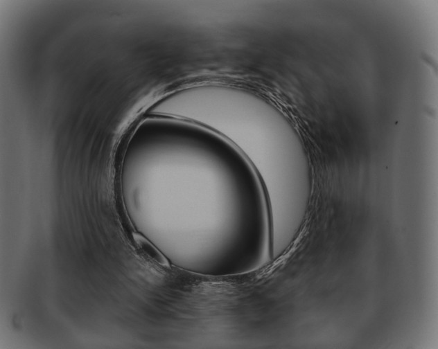 X0000091990150200709061227