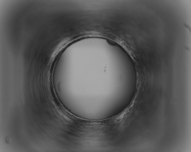 X0000091990151200709061228