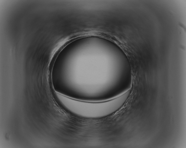 X0000091990152200709061228