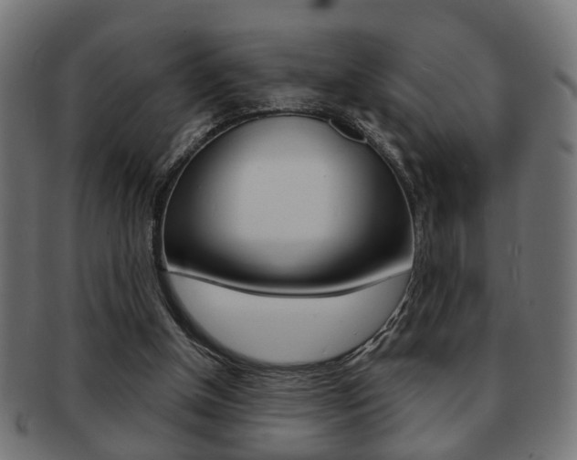 X0000091990154200709061228