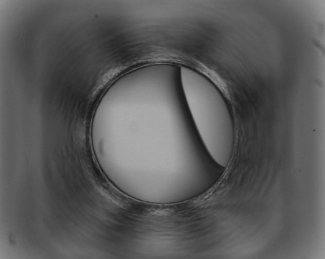 X0000091990155200709061228