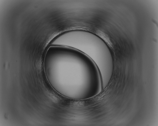X0000091990156200709061228