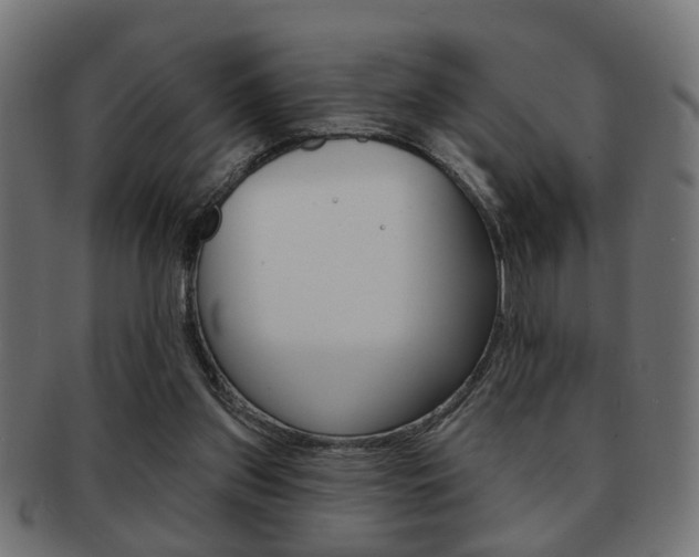 X0000091990157200709061228