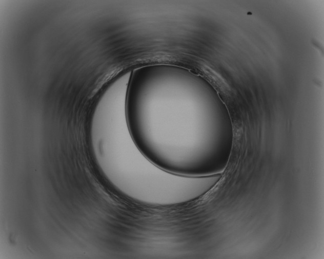 X0000091990158200709061228