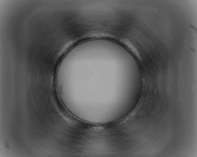 X0000091990159200709061228