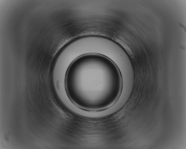 X0000091990160200709061228