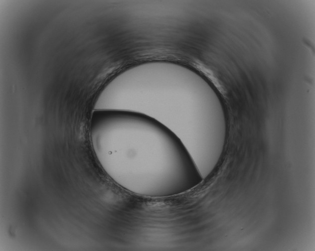 X0000091990161200709061228