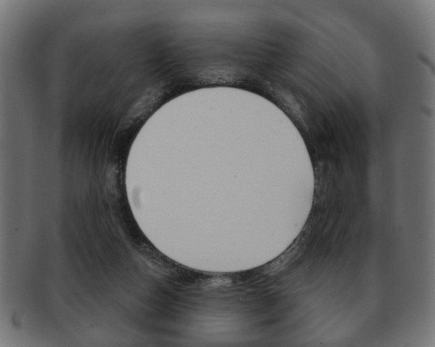 X0000091990162200709061228