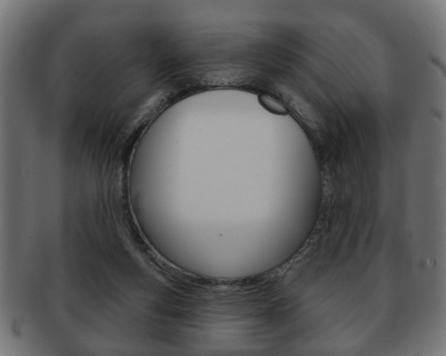X0000091990163200709061228