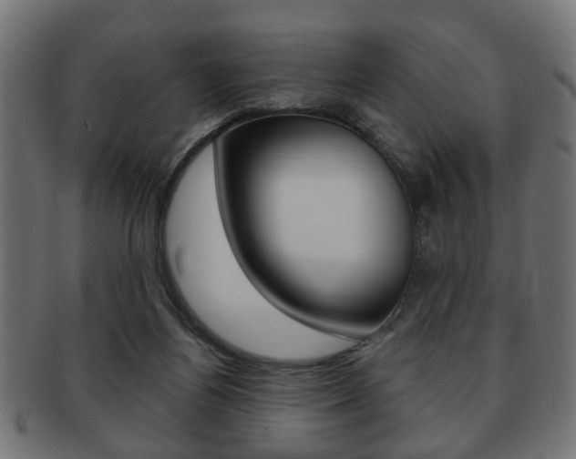 X0000091990164200709061228