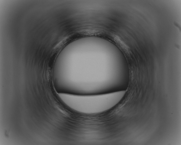 X0000091990165200709061228