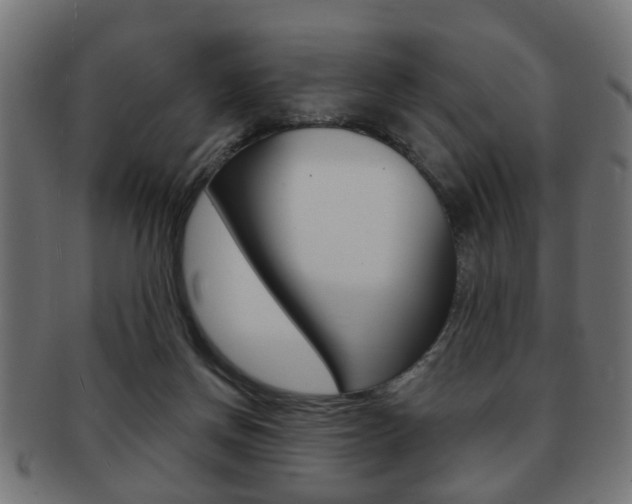 X0000091990166200709061228