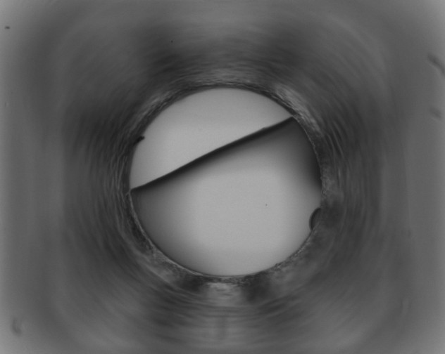 X0000091990167200709061228