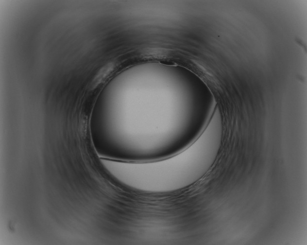 X0000091990168200709061228
