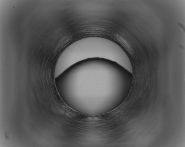 X0000091990169200709061228