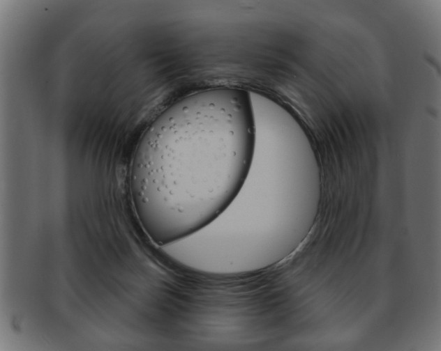 X0000091990171200709061228
