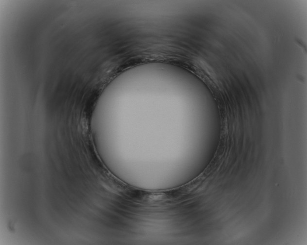 X0000091990173200709061228