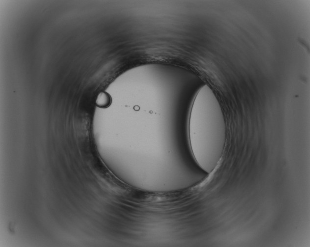 X0000091990174200709061228