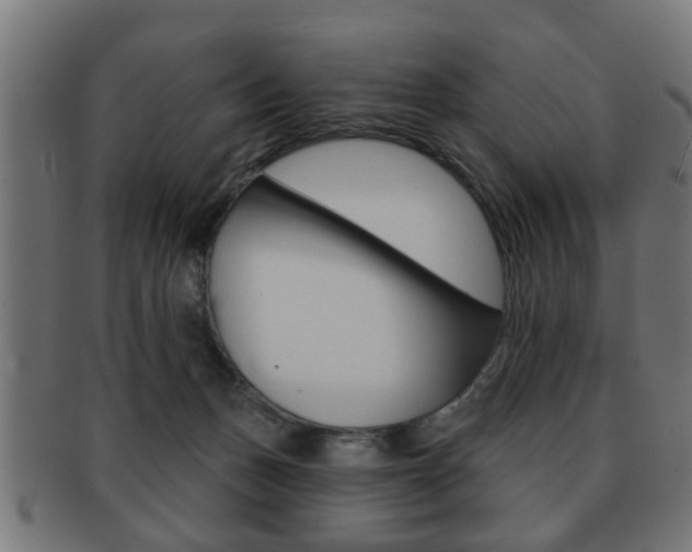 X0000091990175200709061228