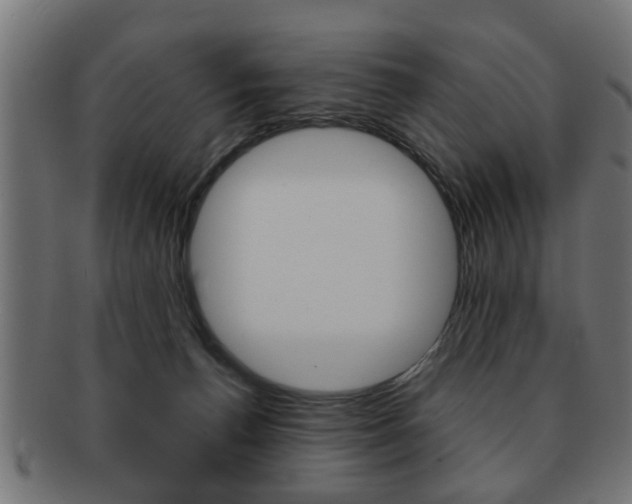 X0000091990176200709061228