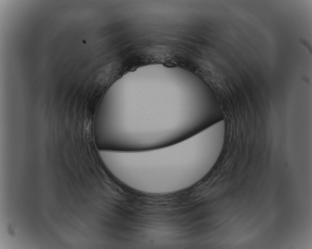 X0000091990177200709061228