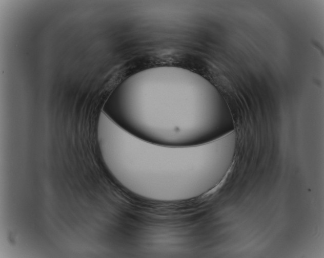 X0000091990178200709061228