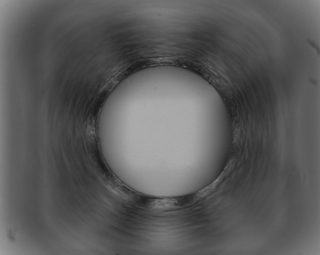 X0000091990179200709061228