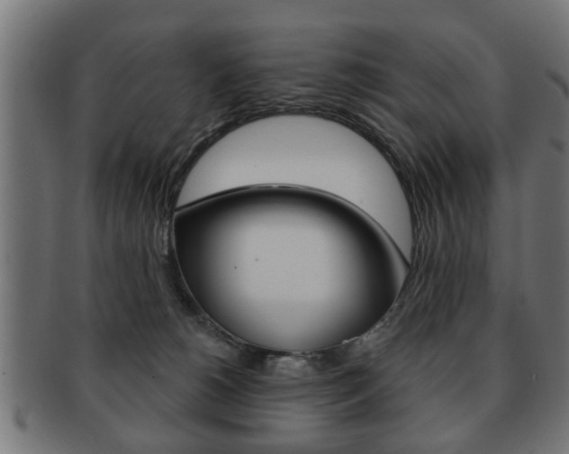 X0000091990180200709061228