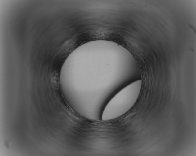 X0000091990181200709061228