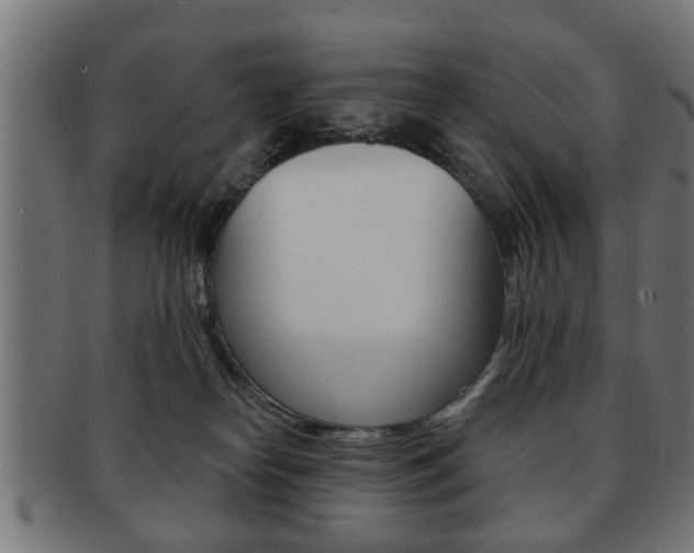 X0000091990182200709061228