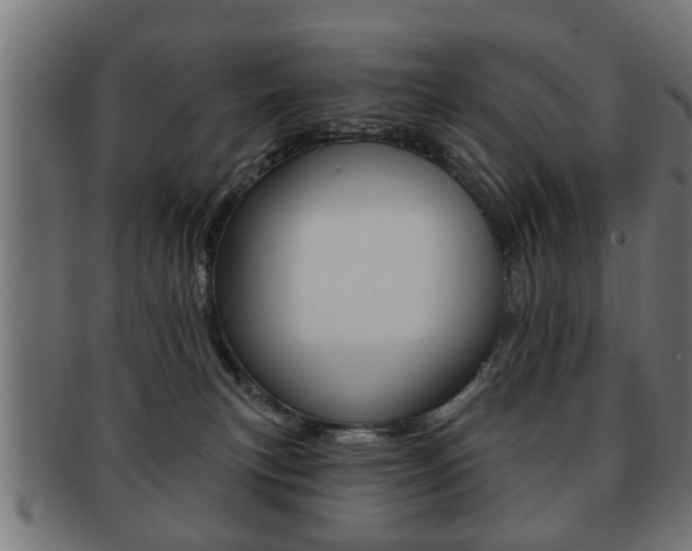 X0000091990183200709061228