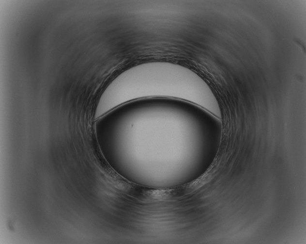 X0000091990184200709061228