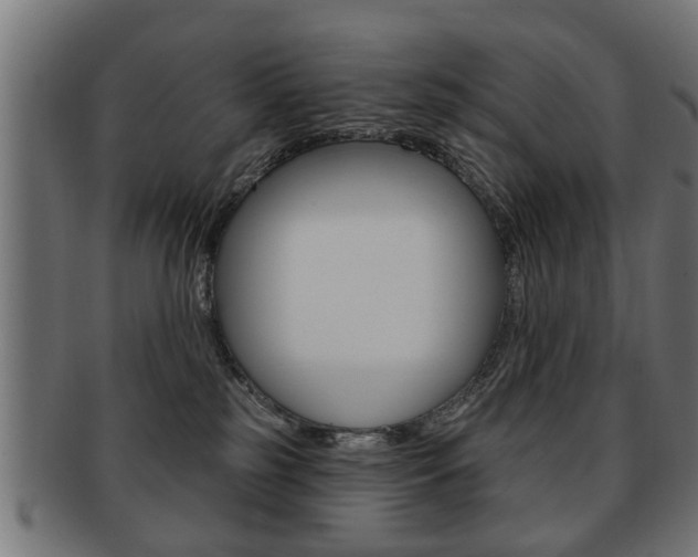 X0000091990185200709061228