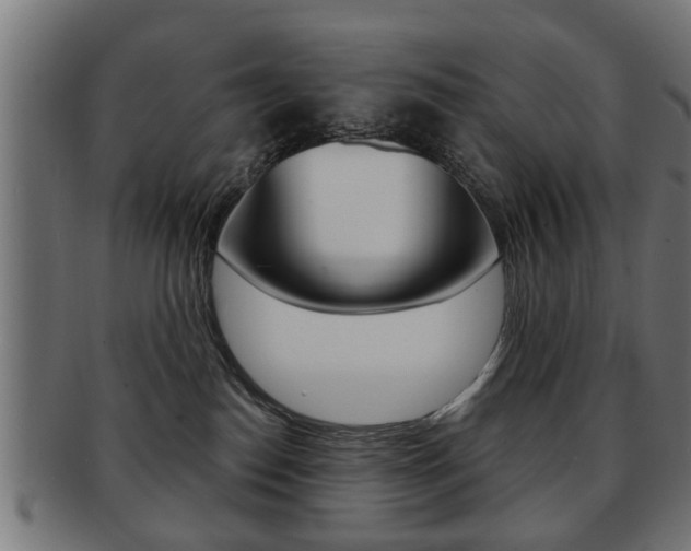 X0000091990186200709061228