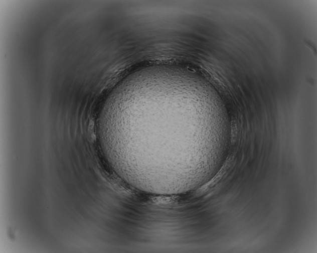 X0000091990187200709061228