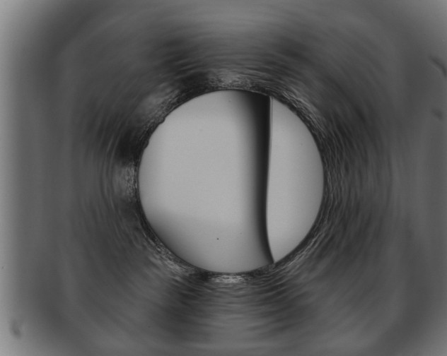 X0000091990189200709061228