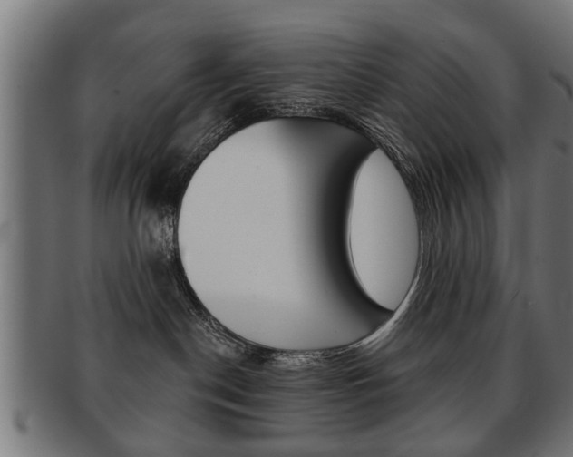 X0000091990190200709061228