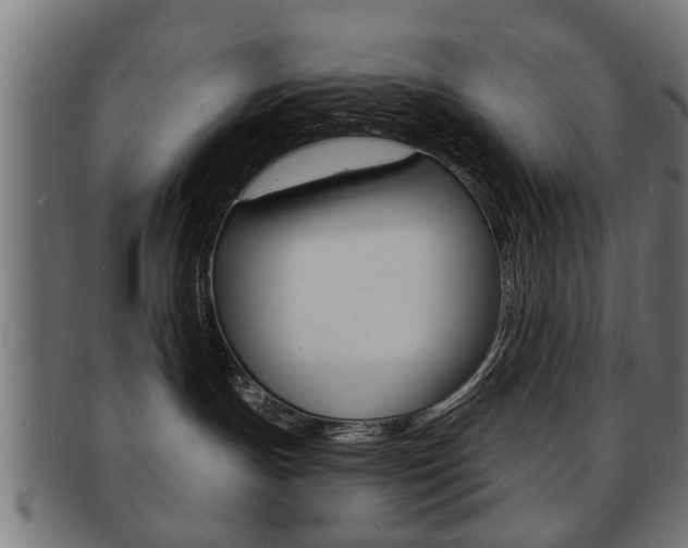 X0000091990191200709061228