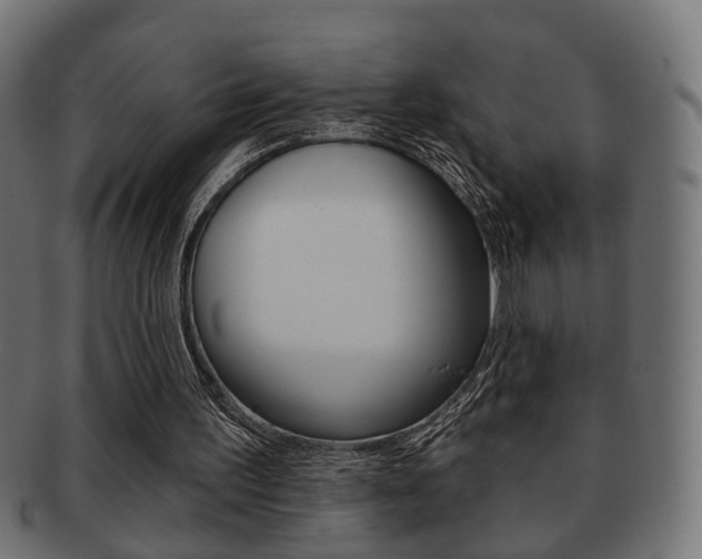 X0000091990195200709061227