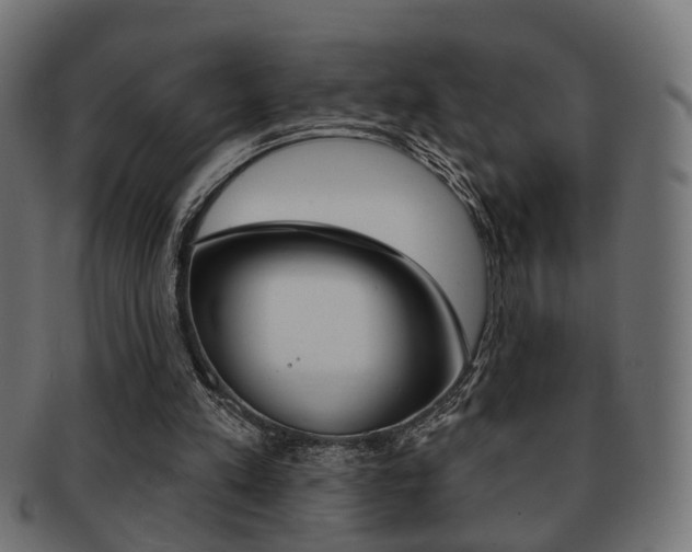 X0000091990197200709061227