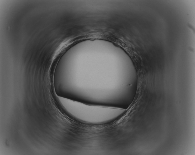 X0000091990198200709061227