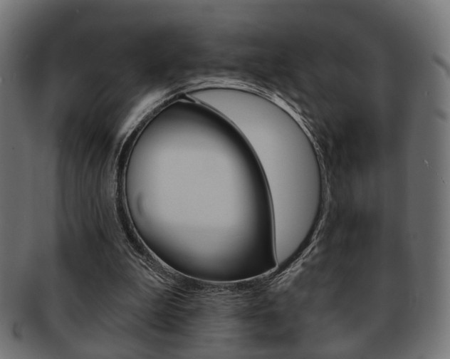 X0000091990199200709061227