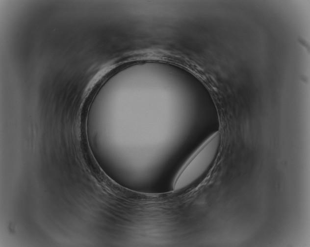 X0000091990200200709061227
