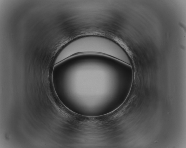 X0000091990201200709061227