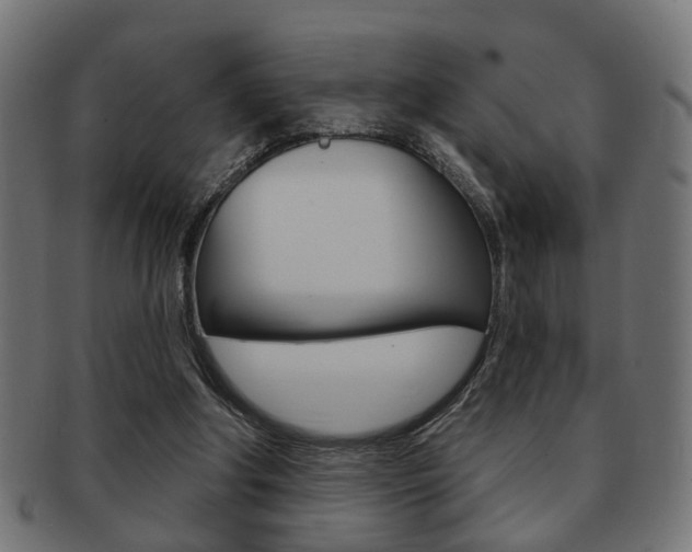 X0000091990202200709061227