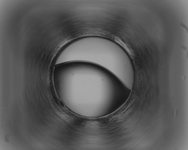 X0000091990203200709061227