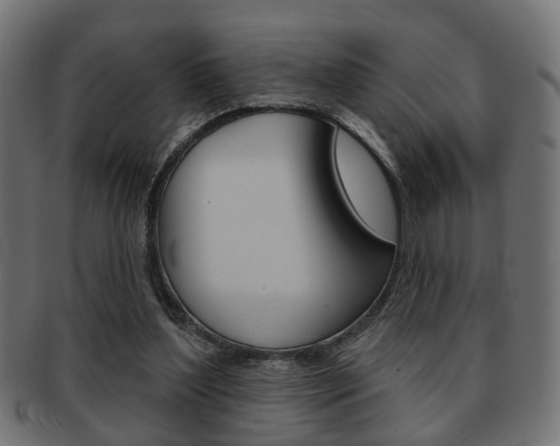 X0000091990204200709061227