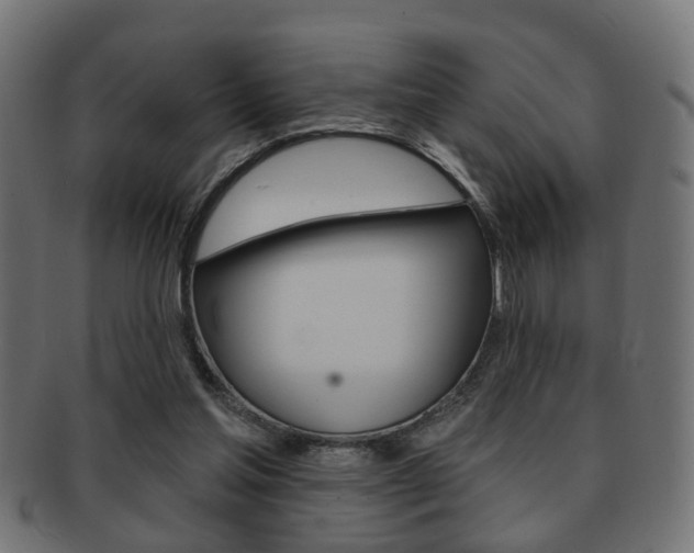 X0000091990205200709061227