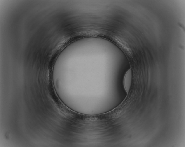 X0000091990206200709061227